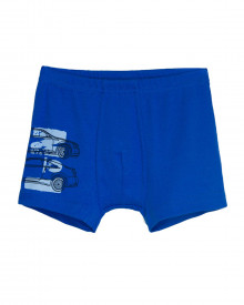 12306 Трусы-боксеры для мальчика нижнее белье купить