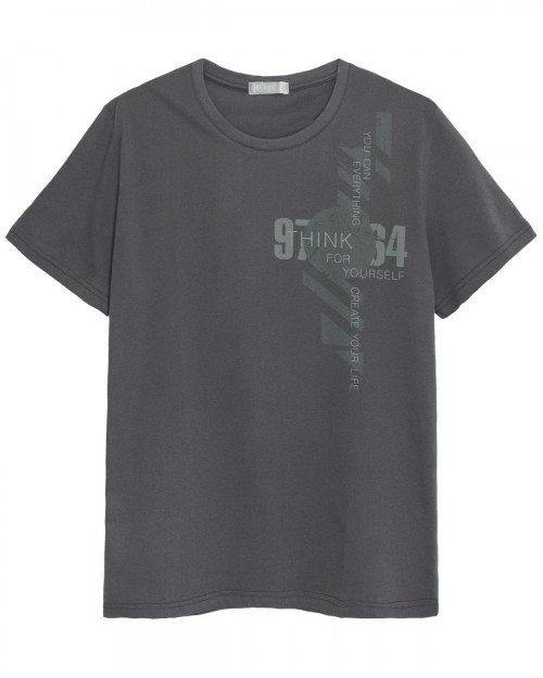 54201 Футболка мужская