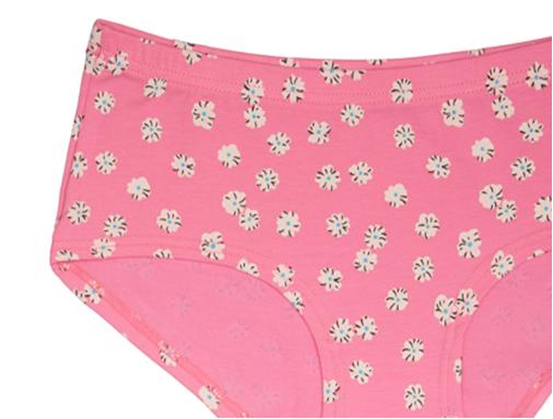 6744 Трусы женские купить в интернет-магазине