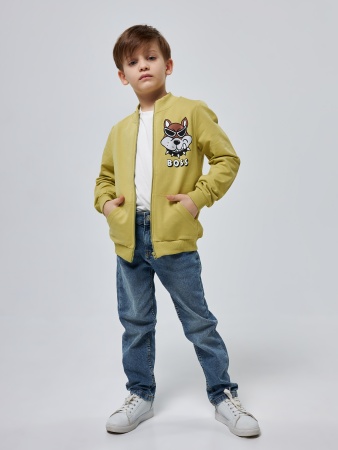 380BT Толстовка для мальчика роксифокси купить в интернет-магазине