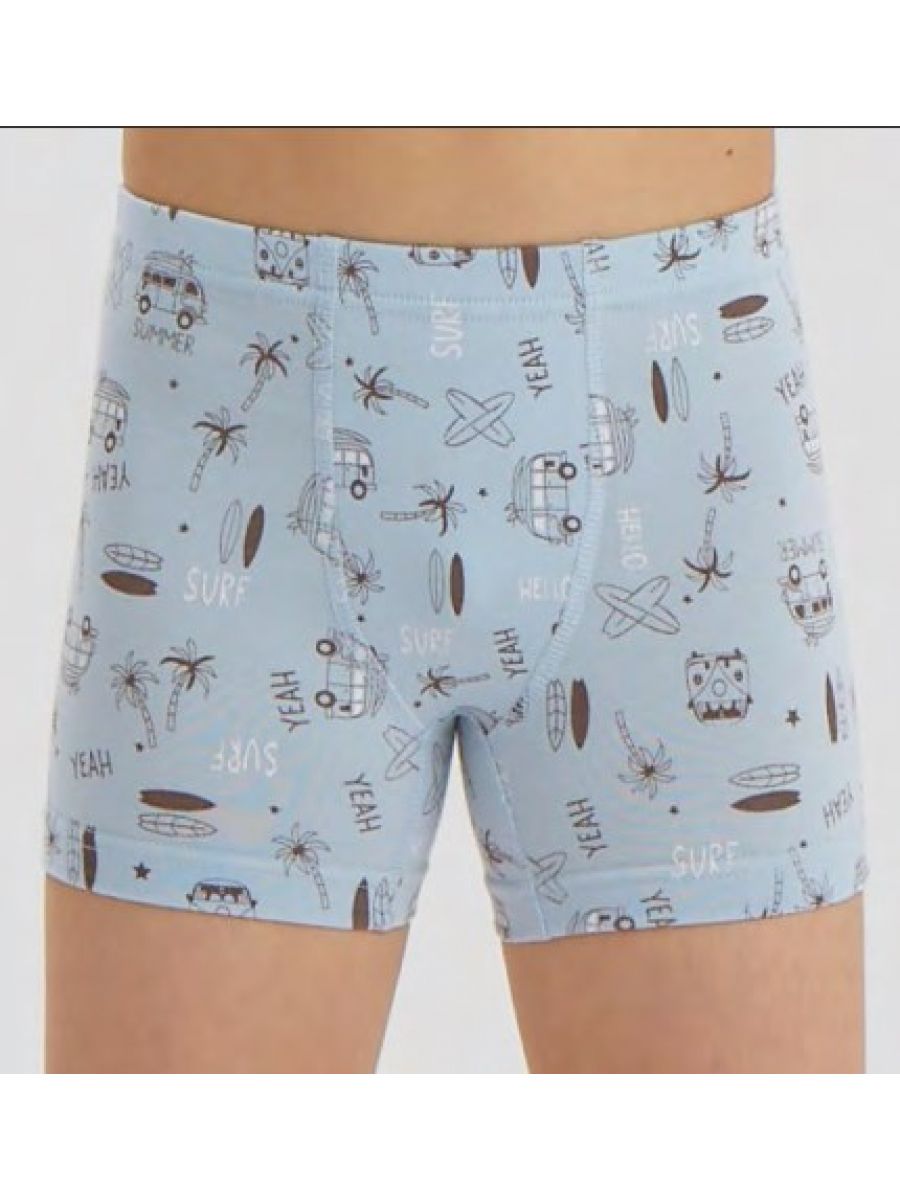 3638 Боксеры для мальчика нижнее белье купить