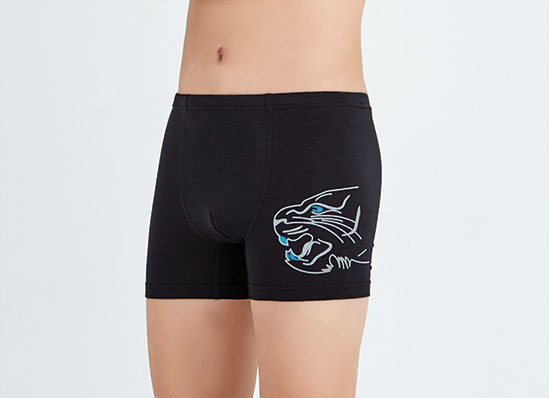 3917 Боксеры для мальчика нижнее белье купить