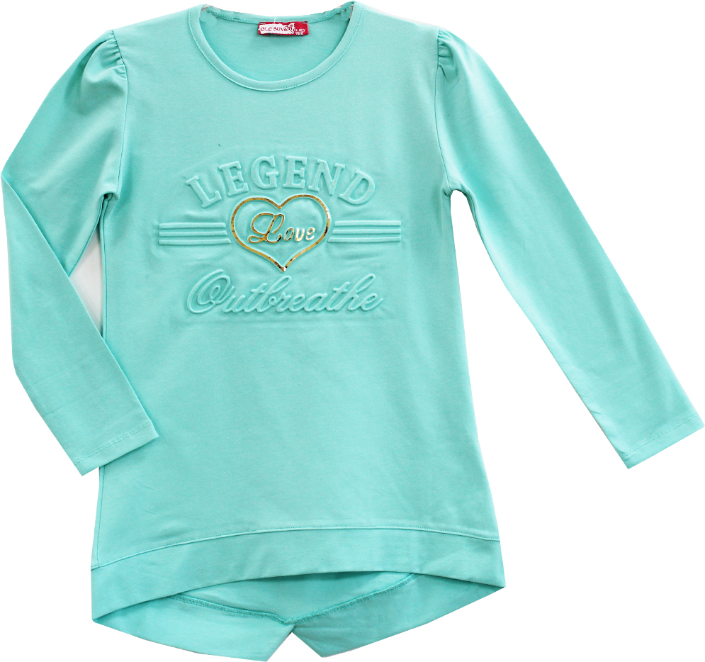 модная детская одежда 1151 джемпер для девочки