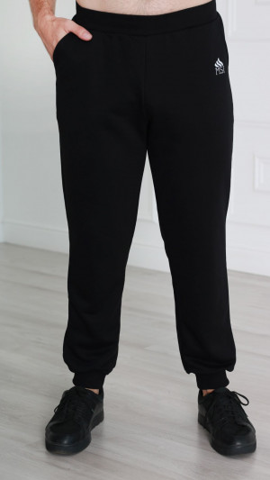 18374100 Брюки мужские