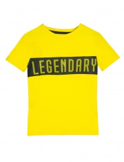 63127 Футболка для мальчика футболки/майки заказать